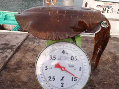 1330g.jpg