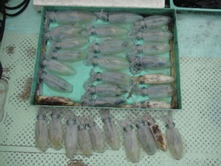 DSC04120.jpg